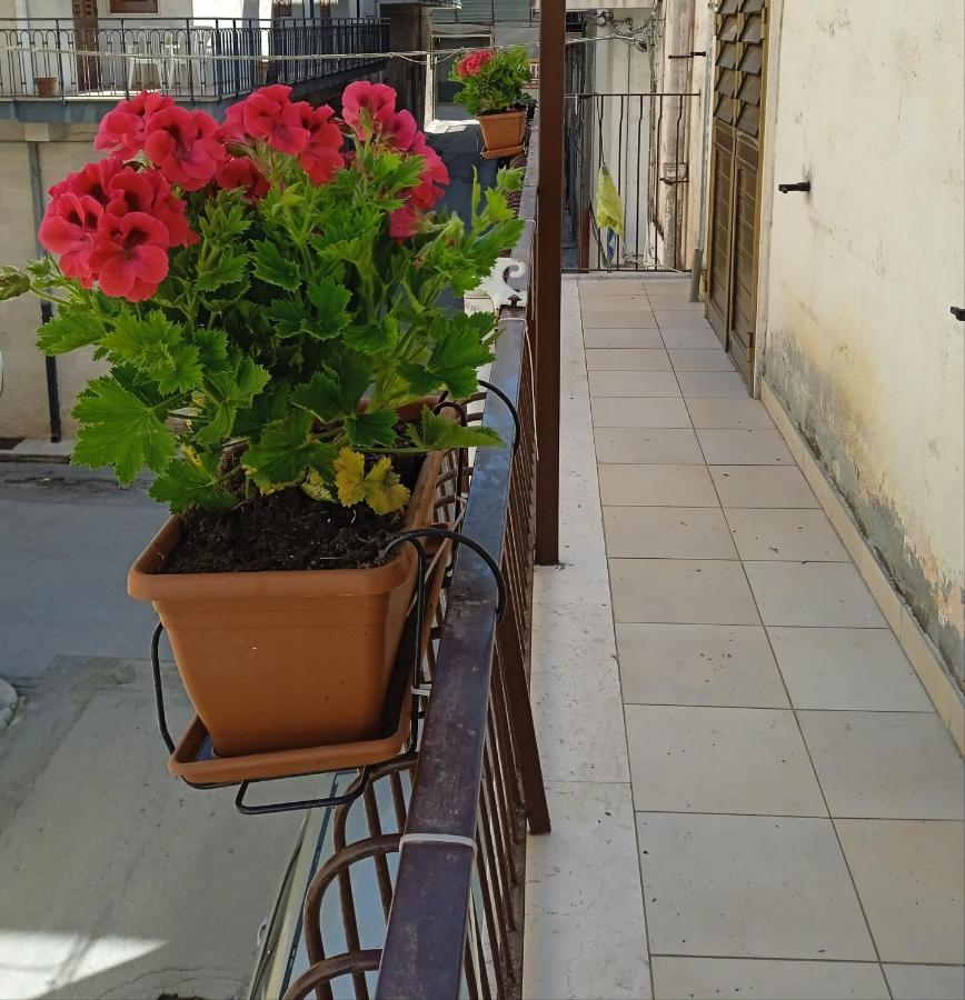 B&B La Casa Dell'Ospite Gravina in Puglia Dış mekan fotoğraf